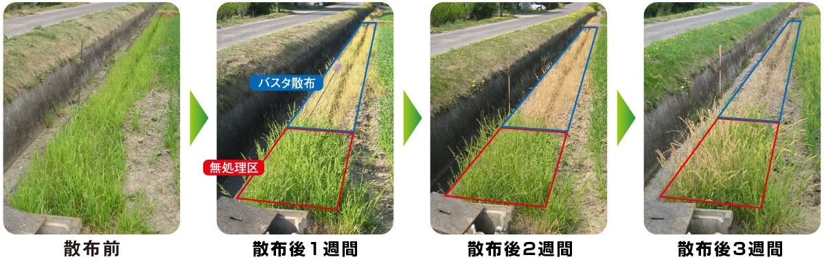 素敵な 雑草抑制おまかせネット 幅3m×25m巻 グリーン 雑草対策 法面 畦畔 大一工業 北海道配送不可 代引不可