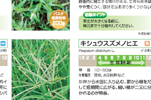 バスタ 瓦版 かわらばん Basf除草剤 バスタ