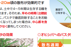 バスタ 瓦版 かわらばん Basf除草剤 バスタ バスタ 瓦版 かわらばん Basf除草剤 バスタ